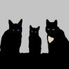 ourthreebadcats